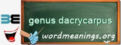 WordMeaning blackboard for genus dacrycarpus